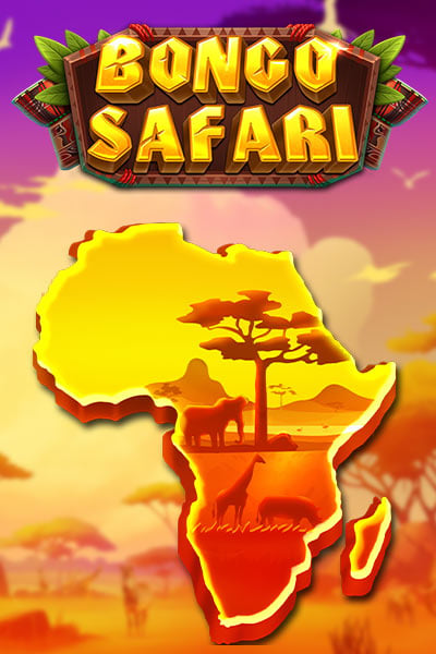 Bongo Safari